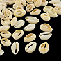 Natural Mixed Cowrie Shell Beads, Cowrie Shells