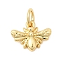 Латунные подвески, прелести мотылька, долговечный, стойки покрытие, без свинца и без кадмия