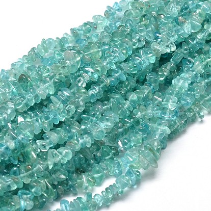 Natural Apatite Chip Beads Strands, 5~14x4~10mm, Hole: 1mm, about 15.5 inch ~16.1 inch