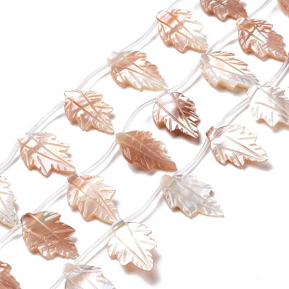 Autumn Theme Natural Sea Shell Beads Strands, Leaf