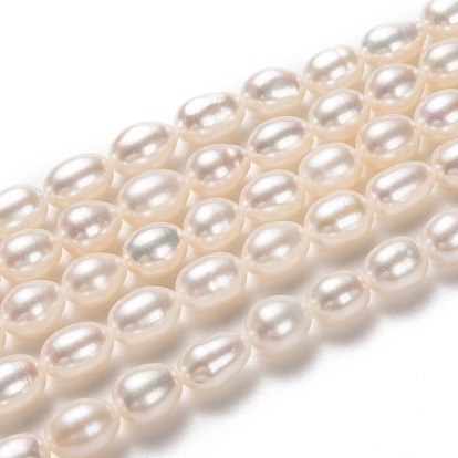 Natural Cultured Freshwater Pearl Beads Strands, Rice