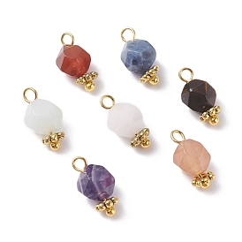Chakra Theme Natural Tiger Eye & Rose Quartz & Amethyst & Topaz Jade & Red Agate & Amazonite & Sodalite Charms, with Brass & Alloy Findings, Faceted, Round