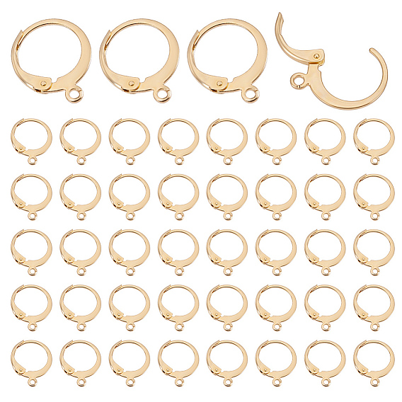 100Pcs 304 Stainless Steel Leverback Earring Findings, with Horizontal Loop