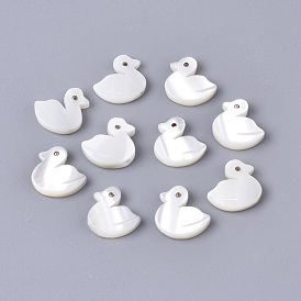 Natural Trochid Shell/Trochus Shell Beads, Duck