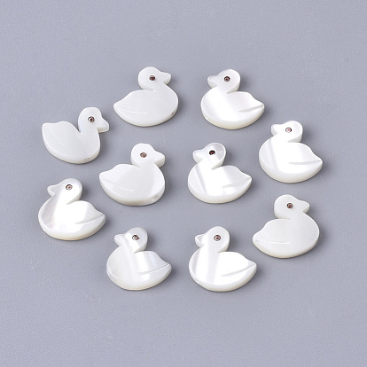Natural Trochid Shell/Trochus Shell Beads, Duck