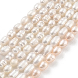 Natural Cultured Freshwater Pearl Beads Strands, Rice