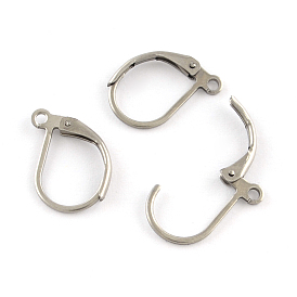 304 Stainless Steel Leverback Earrings Findings, with Loop