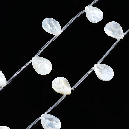 Natural Freshwater Shell Beads Strands, Top Drilled Beads, Teardrop