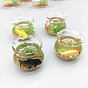Miniature Fish Tank Dollhouse Accessories, Plastic Aquarium Dollhouse for Garden Scene Decor