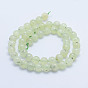 Natural Prehnite Beads Strands, Round, Grade A-