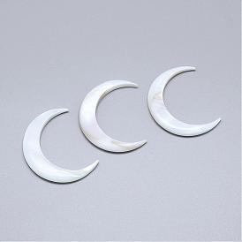 Natural Freshwater Shell Beads, No Hole, Moon