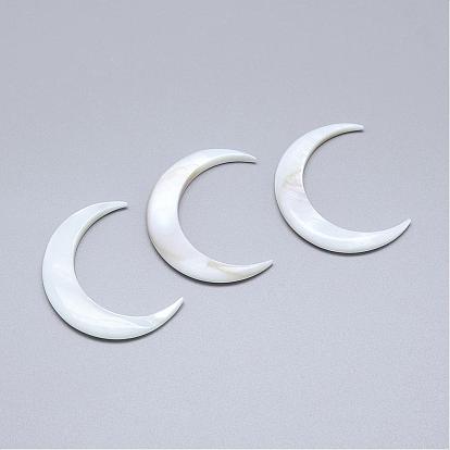 Natural Freshwater Shell Beads, No Hole, Moon