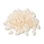 Acrylic Beads, Shell Shape