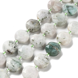 Natural Gemstone Beads Strands, with Seed Beads, Faceted Hexagonal Cut, Flat Round