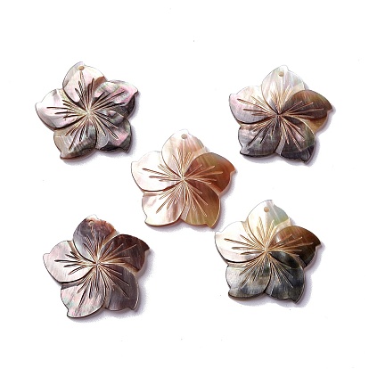 Natural Black Lip Shell Pendants, Sakura Flower Charm