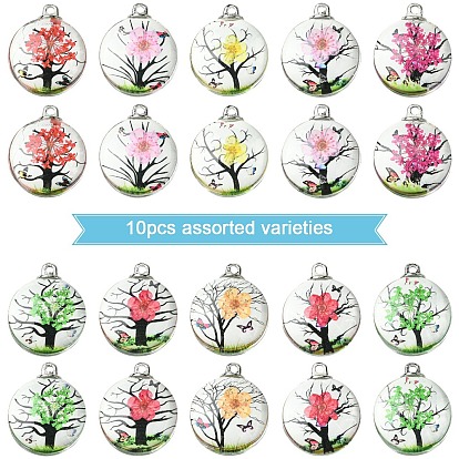 10 шт. Прозрачные стеклянные подвески, полукруглый, с сухих цветов внутри