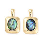 Brass Pave Natural Paua Shell Pendants, Rectangle Charms