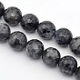 Faceted Round Natural Larvikite Beads Strands