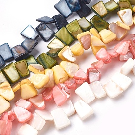 Freshwater Shell Beads Strands, Nuggets Chips