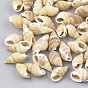 Perles de coquillages en spirale, pas de trous / non percés