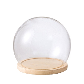 Round Glass Dome Cover, Decorative Display Case, Cloche Bell Jar Terrarium with Wood Base