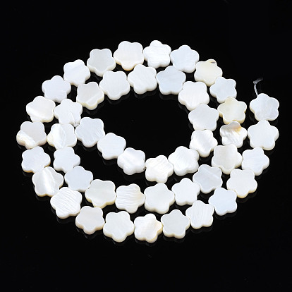 Natural Freshwater Shell Beads Strands, Flower