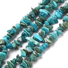  Natural Turquoise Chip Beads Strands, Dyed