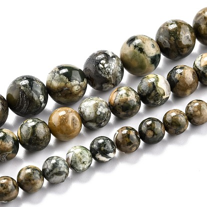 Natural Rhyolite Jasper Beads Strands, Round
