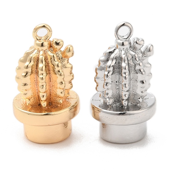 Латунь прелести, без кадмия, без никеля и без свинца, кактус очарование