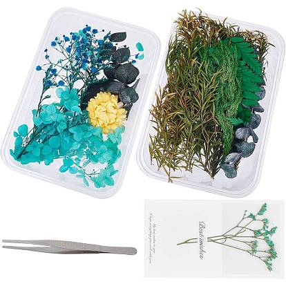2 Sets Blue Series Dry Flower Accessories Set, with Stainless Steel Tweezers & Paper Cards
