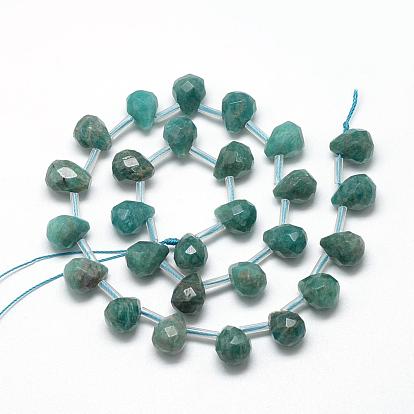 Natural Amazonite Beads Strands, Faceted Teardrop