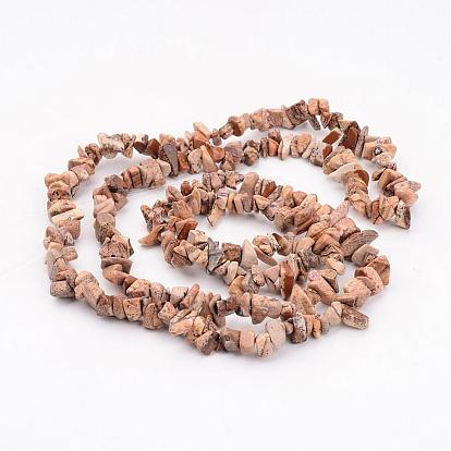 Natural Picture Jasper Chips Beads Strands