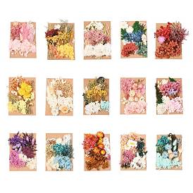 Сушеный цветок, для свадебного душа, свадьба, консервированный свежий цветок