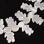 Natural Shell Beads, Child, 15x8x2mm, Hole: 1mm