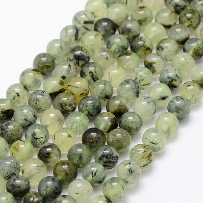 Natural Prehnite Beads Strands, Round, Grade AB