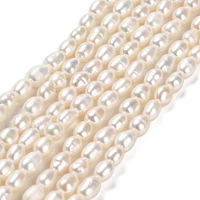 Natural Cultured Freshwater Pearl Beads Strands, Rice, Grade 3A