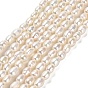 Нити из натурального культивированного пресноводного жемчуга, рис