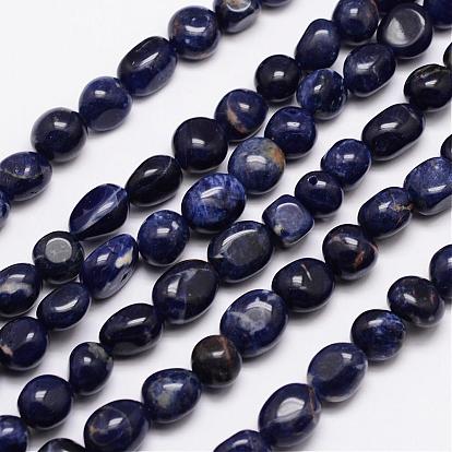 Natural Sodalite Bead Strands, Tumbled Stone, Nuggets, 9~11x9~11mm, Hole: 1mm, about 15.74 inch