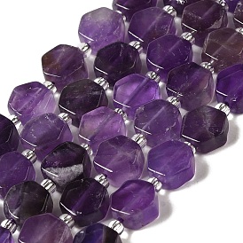 Natural Amethyst Beads Strands, Hexagon, with Seed Beads