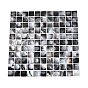 Natural Black Lip Mosaic Tiles Cabochons, Square, Flat Back