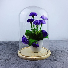 Arch Glass Dome Cover, Decorative Display Case, Cloche Bell Jar Terrarium with Wood Base