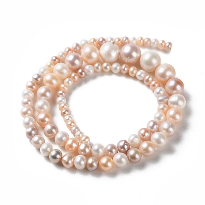 Natural Cultured Freshwater Pearl Beads Strands, Gradient Potato