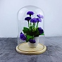 Arch Glass Dome Cover, Decorative Display Case, Cloche Bell Jar Terrarium with Wood Base