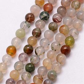 Naturelles agate indienne perles brins, ronde