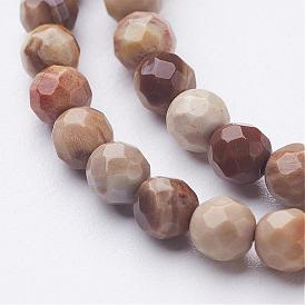 Природные окаменелые нити шарик из дерева, граненый (64 граней), круглые