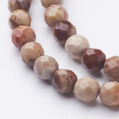 Природные окаменелые нити шарик из дерева, граненый (64 граней), круглые