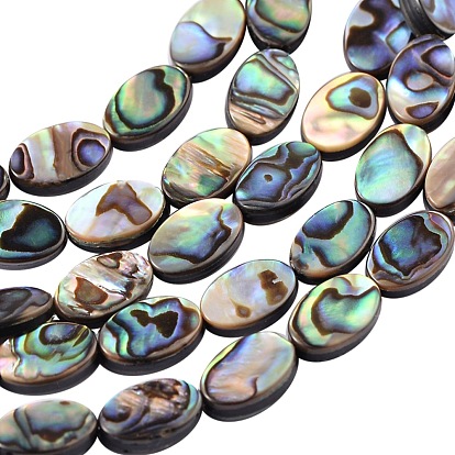 Coquille d'ormeau naturel / perles de coquille de paua, ovale