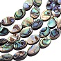 Natural Abalone Shell/Paua Shell Beads, Oval