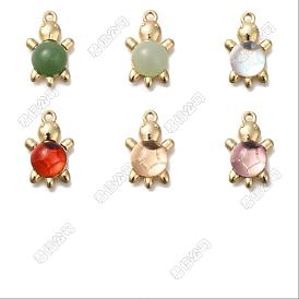 24Pcs 6 Colors Acrylic Alloy Pendants, Gold, Tortoises