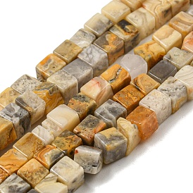 Natural Crazy Agate Beads Strands, Cube